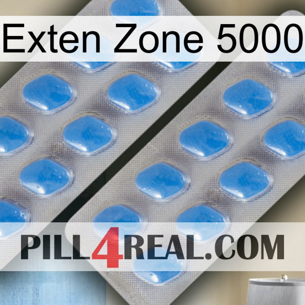 Exten Zone 5000 23.jpg